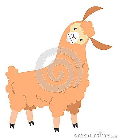 Cute alpaca with surprised face. Llama head tilt Vector Illustration