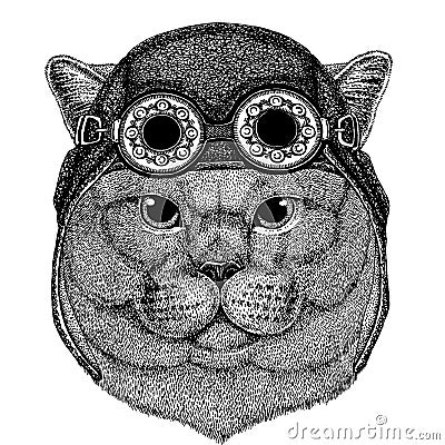 Cute animal wearing motorcycle, aviator helmet British noble cat Male Hand drawn image for tattoo, emblem, badge, logo Vector Illustration