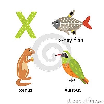 Cute Animal Zoo Alphabet. Letter X for x-ray fish, xantus, xerus Stock Photo