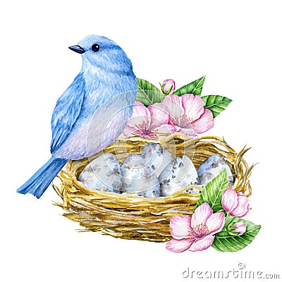 Cute little blue bird with nest and blue eggs. Watercolor illustration Stock Photo