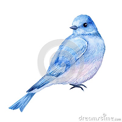 Cute little blue bird. Watercolor illustration Stock Photo