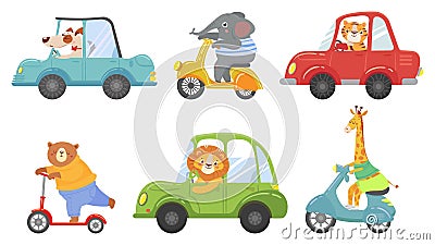 Cute animals on transport. Animal on scooter, driving car and zoo travel cartoon vector illustration set Vector Illustration