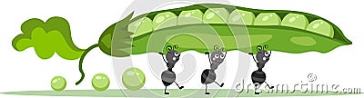 Cute ants carrying a green pod with peas Vector Illustration