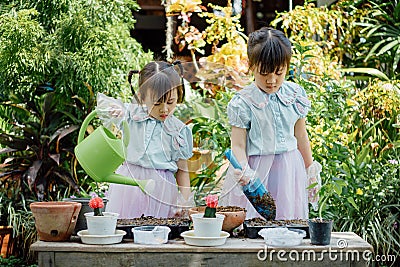 Cute asian child girl helping mother planting or cutivate the plants. Mom and daughter engaging in gardening at home. Happy activi Stock Photo