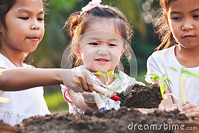 Cute asian children planting young tree in the black soil together in the garden Stock Photo