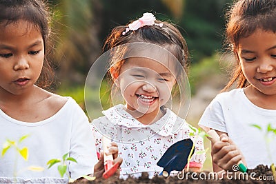 Cute asian children planting young tree in the black soil together in the garden Stock Photo