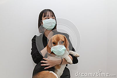 Cute asian lady wearing protective face mask with beagle dog wearing protective mask too Stock Photo