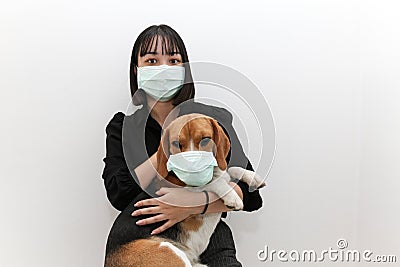 Cute asian lady wearing protective face mask with beagle dog wearing protective mask too Stock Photo