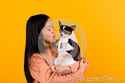 Asian woman with his chihuahua chihuahua dog lover The happiness of a girl who loves his dog The love of people and cute dogs Stock Photo