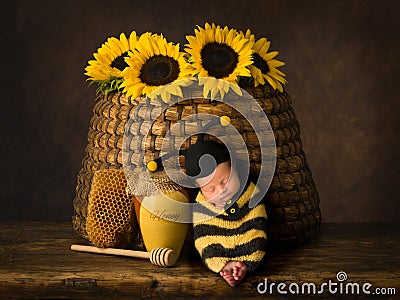 Baby in bee outfit sleeping in beehive Stock Photo