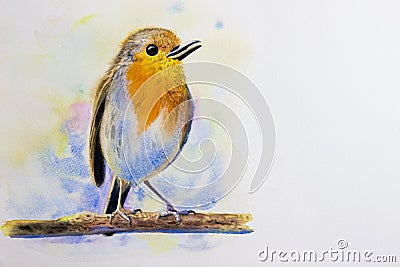 Cute baby birds on the branches. Stock Photo