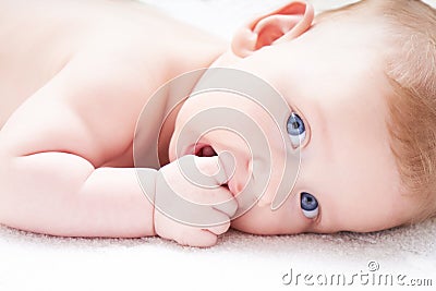 Cute baby with blue eyes sucks fingers, fist. On a light background Close up Stock Photo