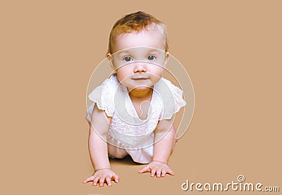 Cute baby crawls Stock Photo