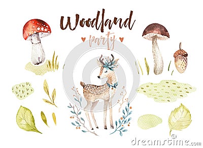 Cute baby deer animal nursery isolated illustration for children. Watercolor boho forest drawing, watercolour, image Cartoon Illustration