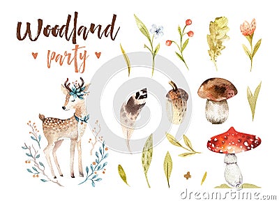 Cute baby deer animal nursery isolated illustration for children. Watercolor boho forest drawing, watercolour woodland Cartoon Illustration