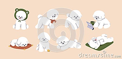 Cute baby dog of Bichon Frise breed. Funny fluffy fuzzy puppy set. Canine animals activities. Toy doggy, little curly Vector Illustration