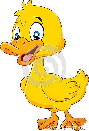 Cute baby duck posing isolated on white background Vector Illustration