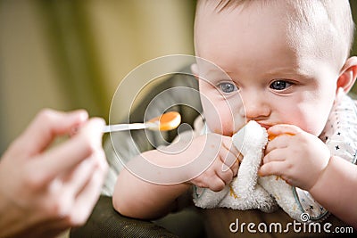Cute baby eating solid food from a spoon Stock Photo