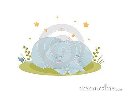 Cute baby elephant sleeping in the meadow. Vector illustration on white background. Vector Illustration