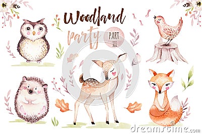 Cute baby fox, deer animal nursery bird and bear isolated illustration for children. Watercolor boho forest drawing Cartoon Illustration