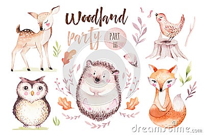 Cute baby fox, deer animal nursery bird and bear isolated illustration for children. Watercolor boho forest drawing Cartoon Illustration