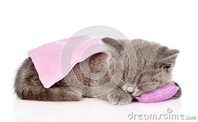 Cute baby kitten sleeping on pillow. isolated on white Stock Photo