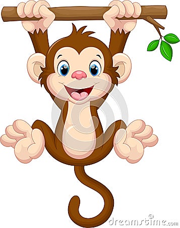 Cute baby monkey hanging on tree Stock Photo