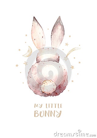 Cute baby rabbit animal dream illustration comet with gold stars in night sky, forest bunny illustration for children Cartoon Illustration