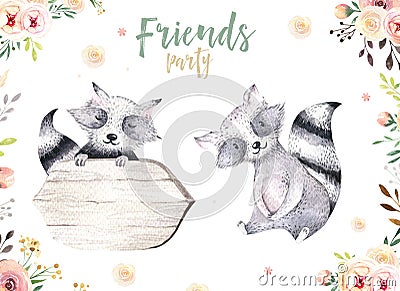Cute baby raccon nursery animal isolated illustration for children. Bohemian watercolor boho forest drawing, watercolour Cartoon Illustration