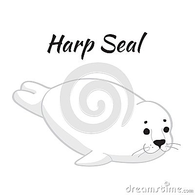 Cute baby seal on white background. Vector Illustration