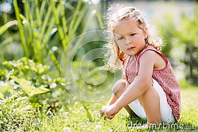 A cute baby is sitting on the grass in the park or in the garden Stock Photo