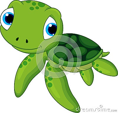 Cute baby turtle Stock Photo