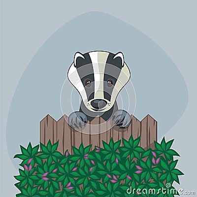 Cute Badger Vector Illustration