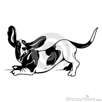 Cute Basset Hound Vector Illustration