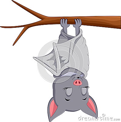 Cute bat cartoon sleeping Vector Illustration