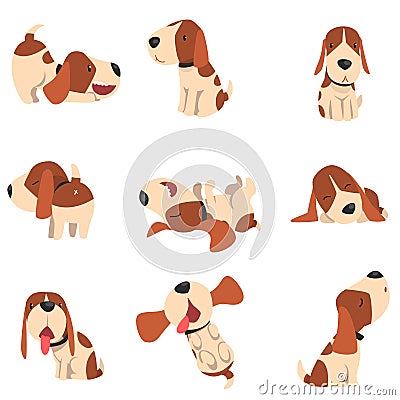 Cute beagle dog in various poses set, funny animal cartoon character vector Illustration on a white background Vector Illustration