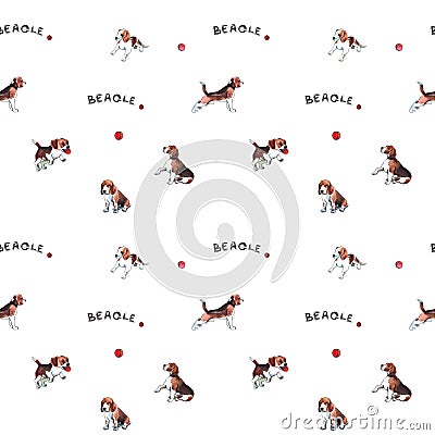 Cute beagles with a ball and a font.Watercolour.The pattern. Stock Photo