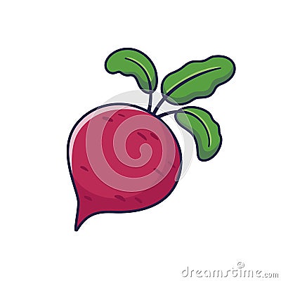 Cute beet root cartoon icon illustration. Food vegitable flat icon concept isolated Vector Illustration