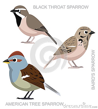 Cute Bird Black Throat Sparrow Set Cartoon Vector Vector Illustration