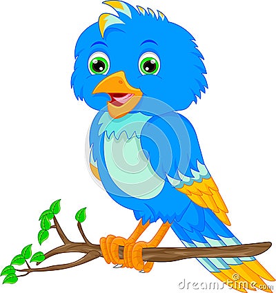 Cute bird cartoon Vector Illustration