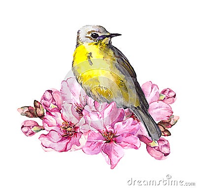 Cute bird in cherry blossom, sakura flowers in spring time. Watercolor twig Stock Photo