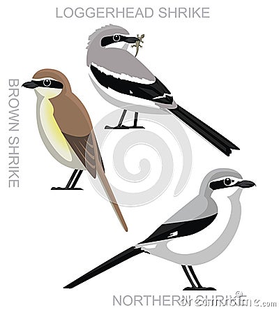 Cute Bird US Shrike Set Cartoon Vector Vector Illustration