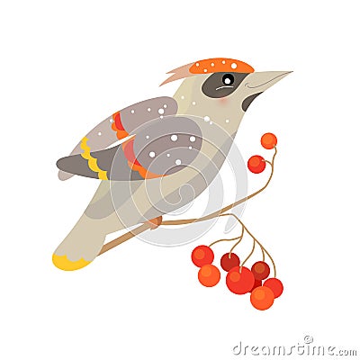 Cute bird waxwing. Christmas festive illustration. Funny character isolated on white background. Winter illustration for children Vector Illustration