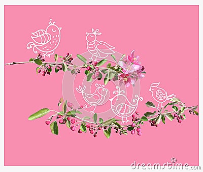 Cute birds on blossom peach tree branch on pink background Stock Photo