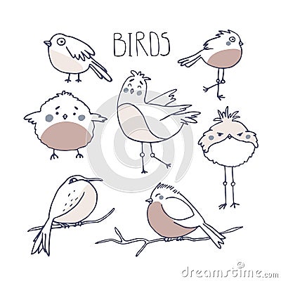 Cute birds in doodle style. Birding and ornithology concept Vector Illustration