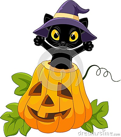 Cute black cat with Halloween pumpkin Vector Illustration