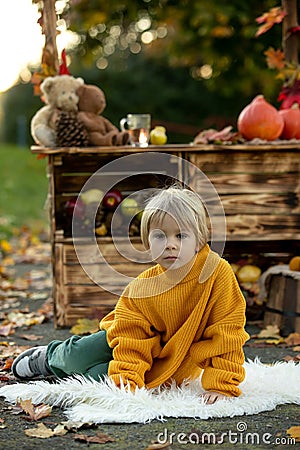 Cute blond toddler child and sibling brothers, standing next to autumn wooden stand with decoration, apples, leaves, mug, Stock Photo