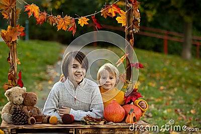 Cute blond toddler child and sibling brothers, standing next to autumn wooden stand with decoration, apples, leaves, mug, Stock Photo