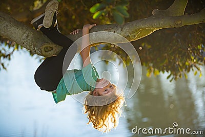 Cute blonde child boy hangs on a tree branch. Summer holidays, little boy climbing a tree. Upside down. Stock Photo