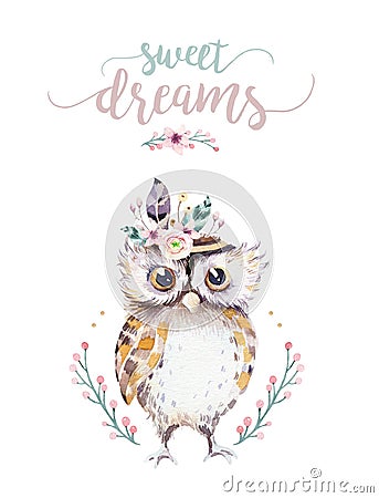 Cute bohemian baby owl animal for kindergarten, woodland nursery isolated decoration forest owls illustration for Cartoon Illustration